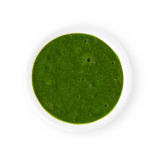 Cilantro Avocado